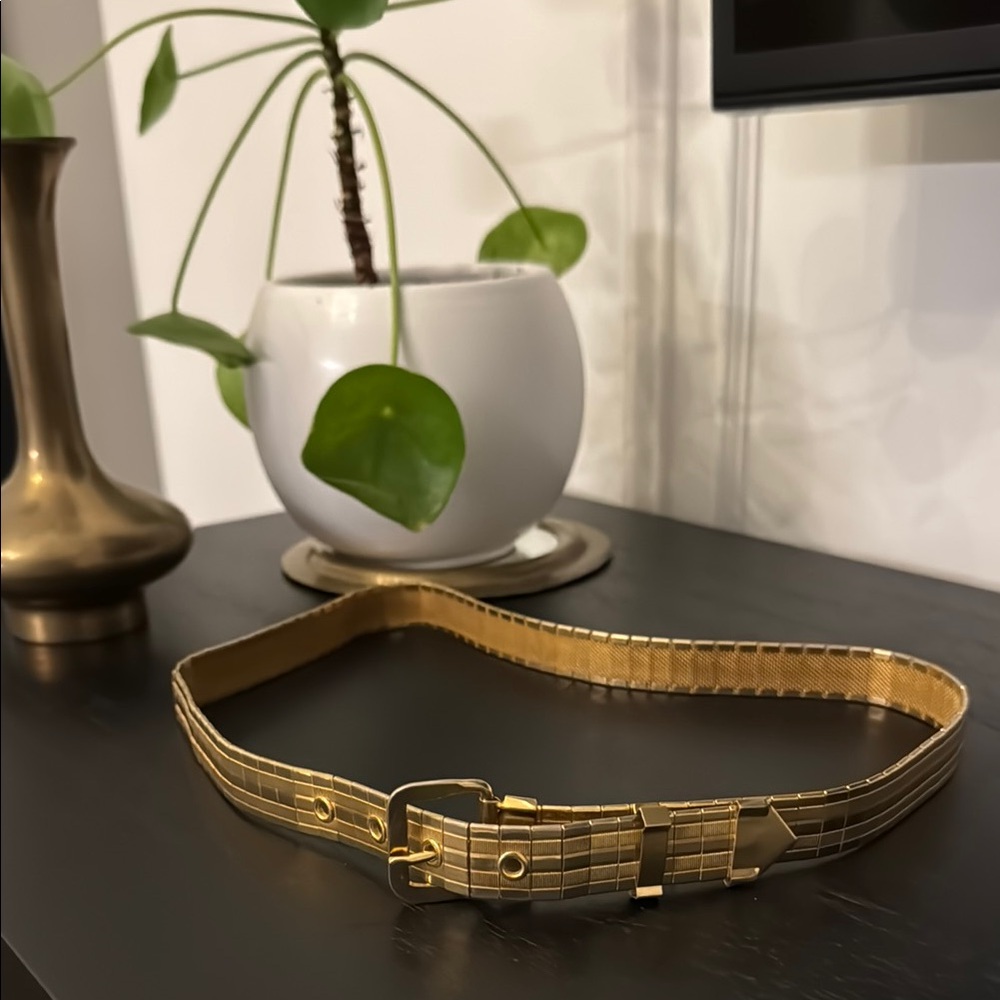 Vintage Gold Metal Minimalist Belt